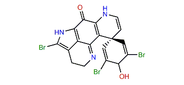 14-Bromo-7,8-dehydro-3-dihydrodiscorhabdin C